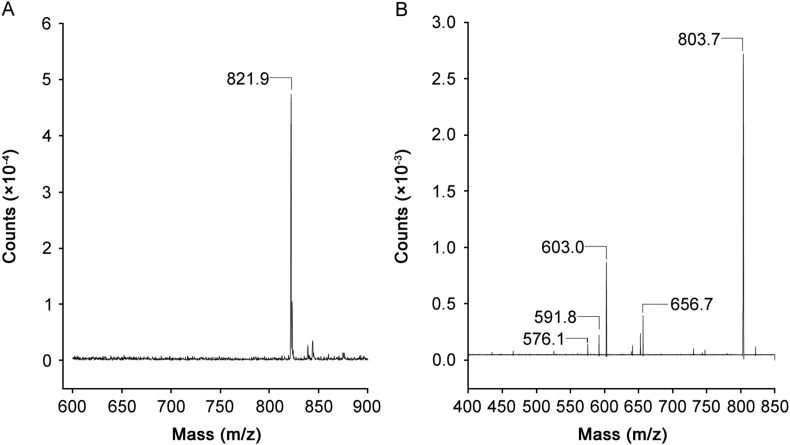 Fig. 2