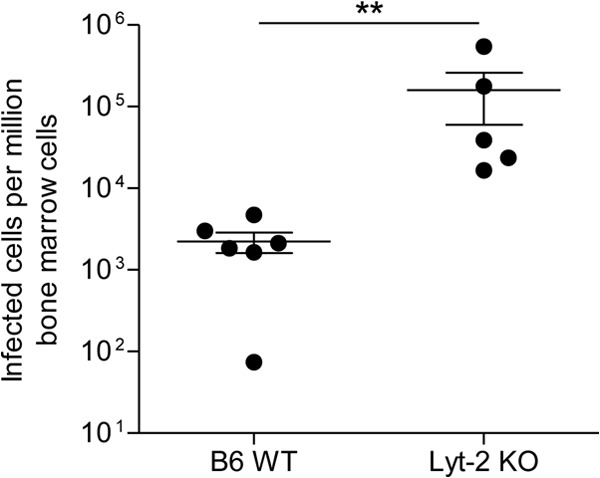 FIG 1