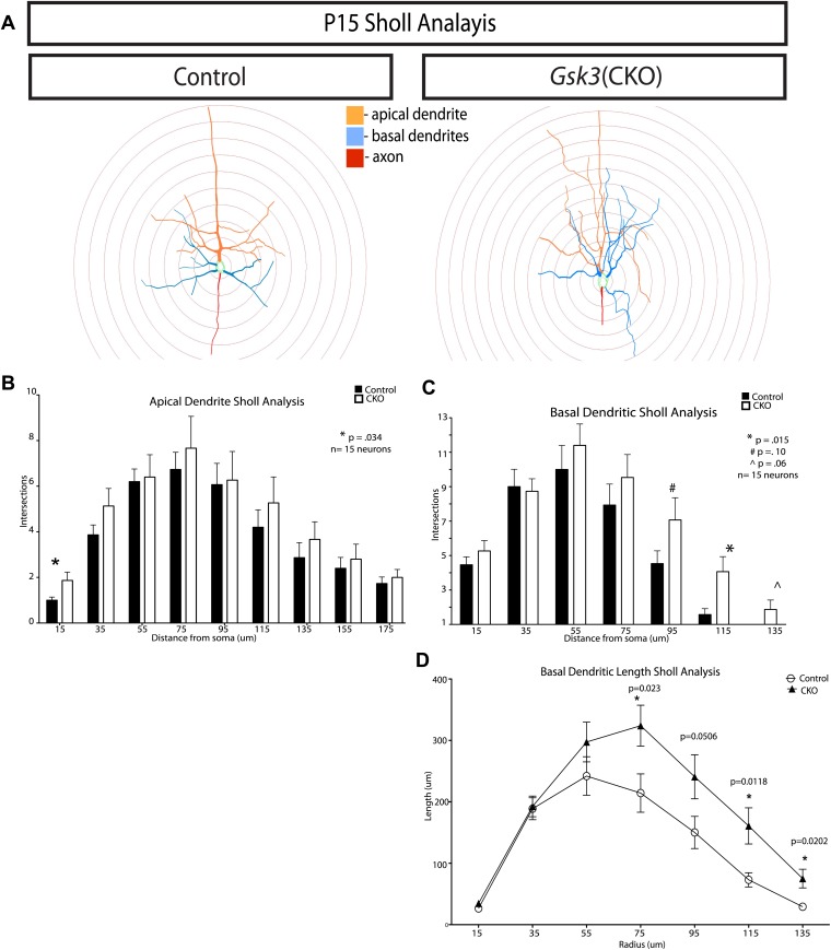 Figure 5—figure supplement 1.