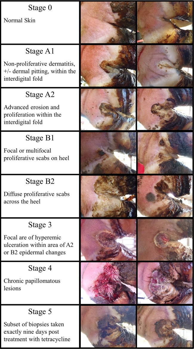 FIG 1