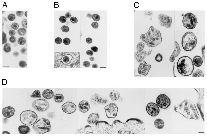 FIG. 5