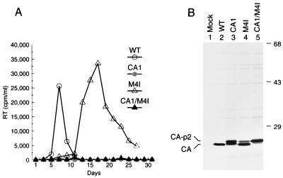 FIG. 6