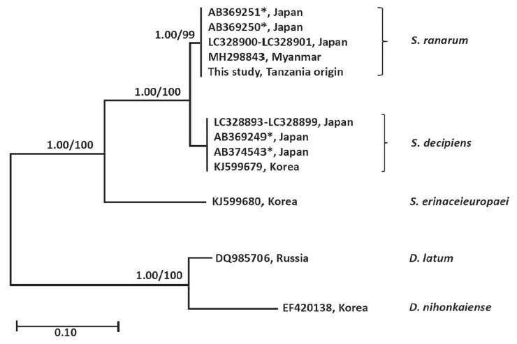 Fig. 2