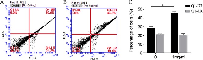 Figure 10