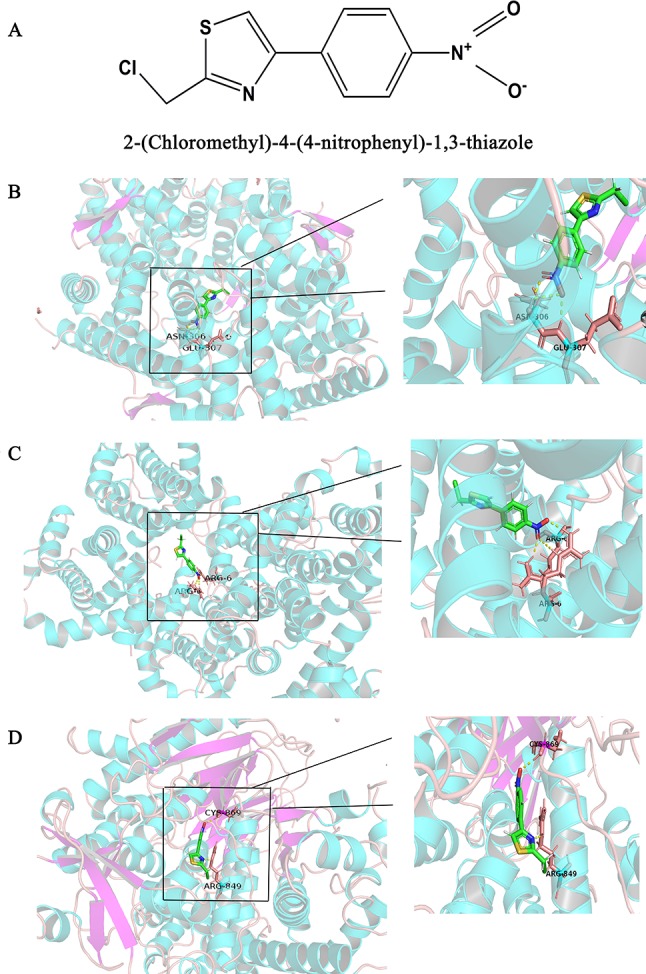 Figure 7