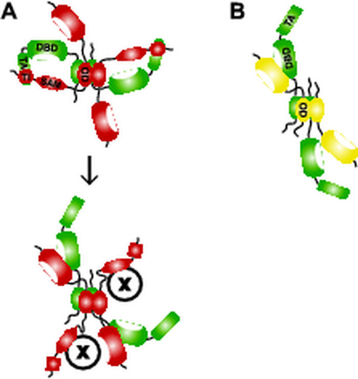 FIG. 8.