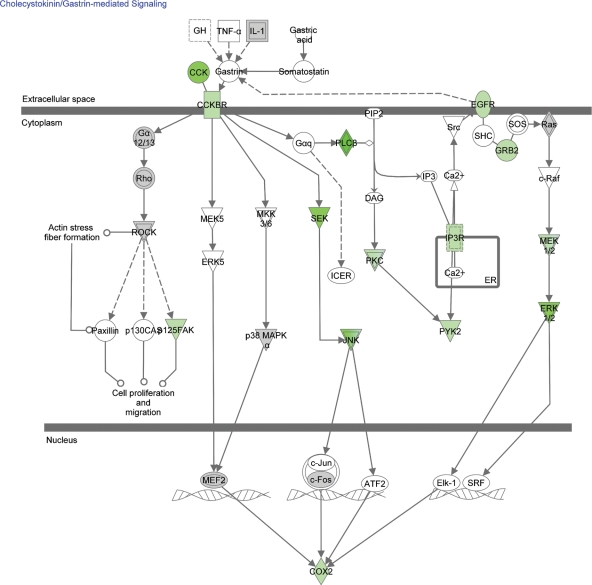 Figure 2.