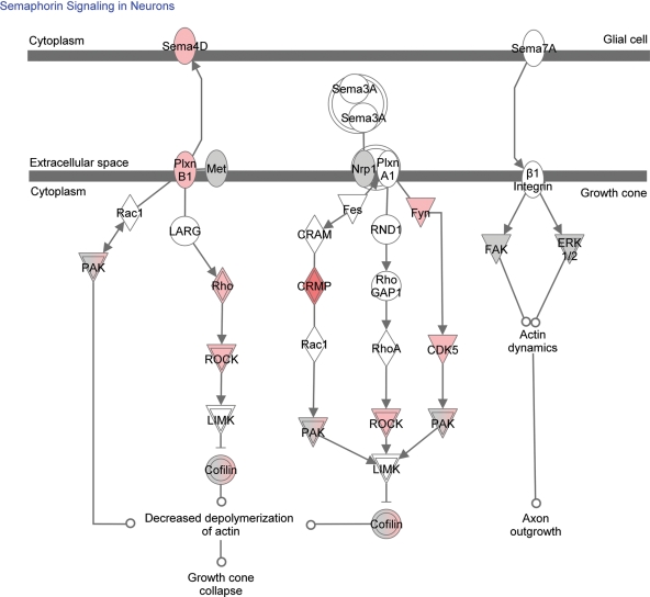 Figure 1.