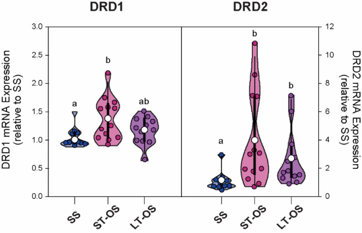 Figure 5: