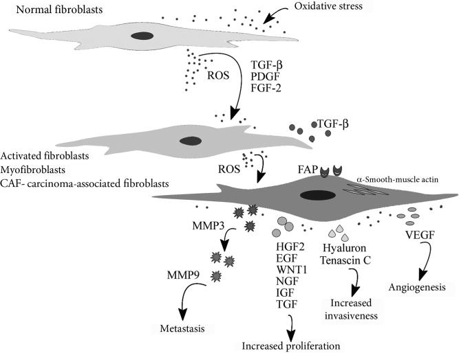 Figure 3.2