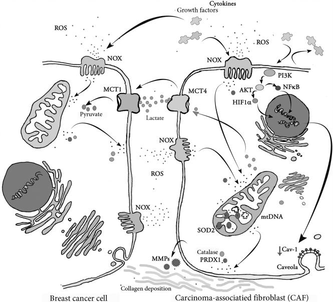 Figure 3.3