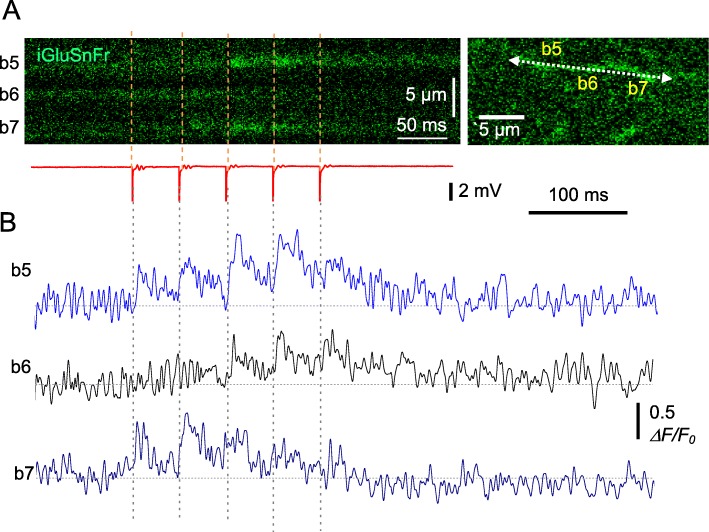 Fig. 3