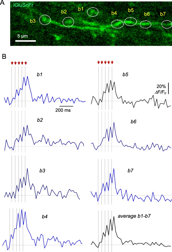 Fig. 2