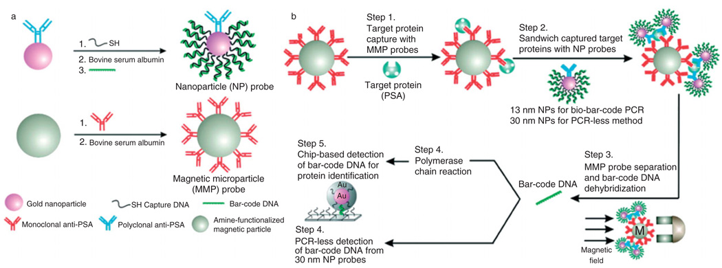 FIGURE 12