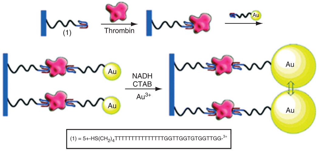 FIGURE 11