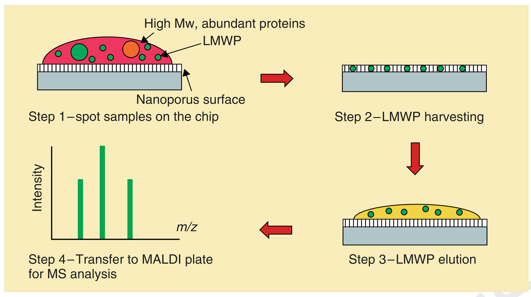 FIGURE 3