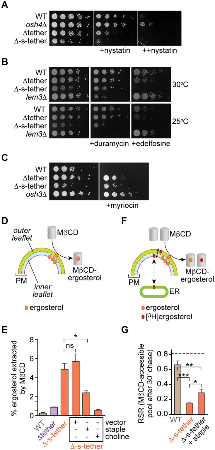 Fig 6