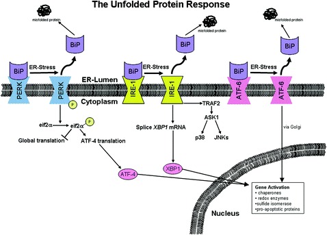 Fig. 4