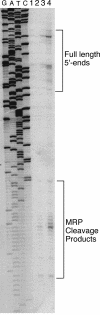 FIG. 7.