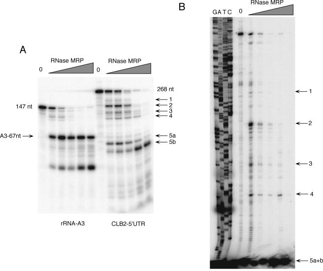 FIG. 4.