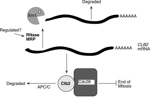 FIG. 8.