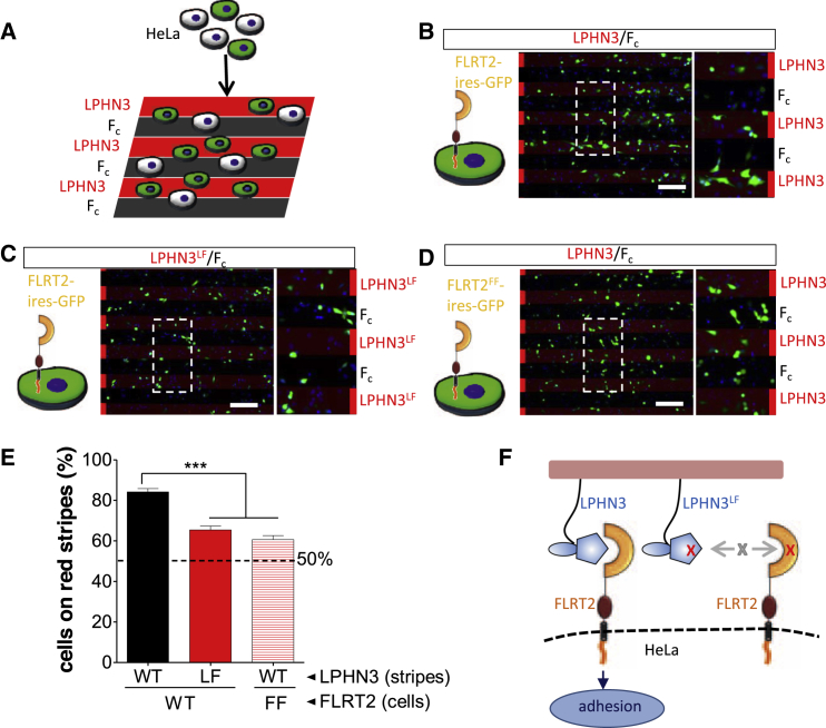 Figure 4