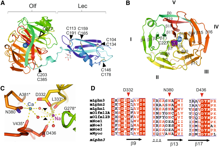 Figure 1