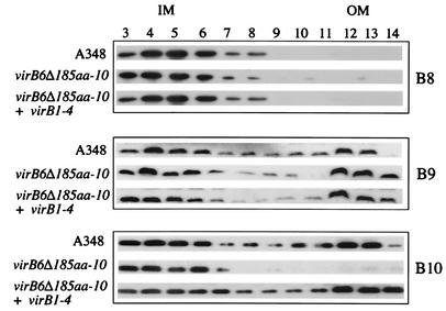 FIG. 6.