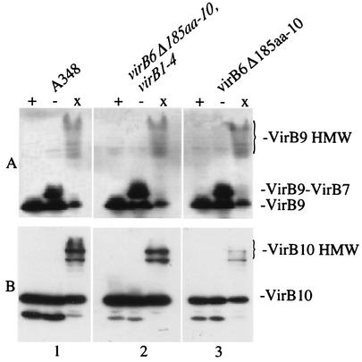 FIG. 7.