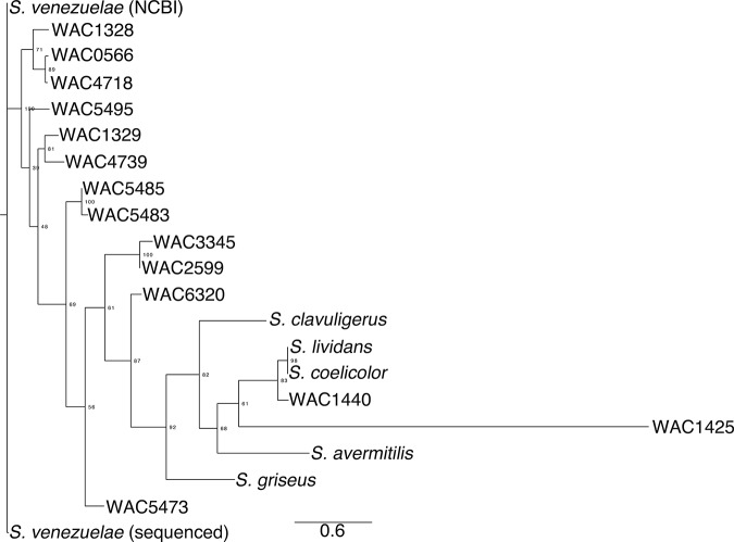 Figure 1—figure supplement 2.