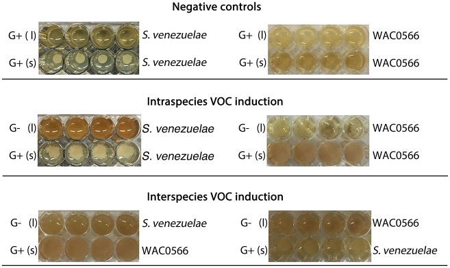 Figure 4—figure supplement 3.