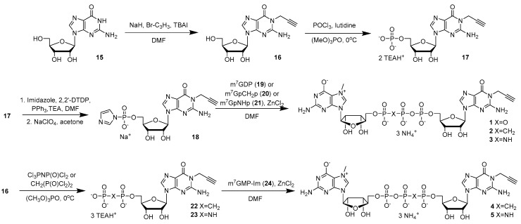 Scheme 1