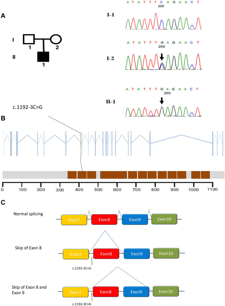 FIGURE 2