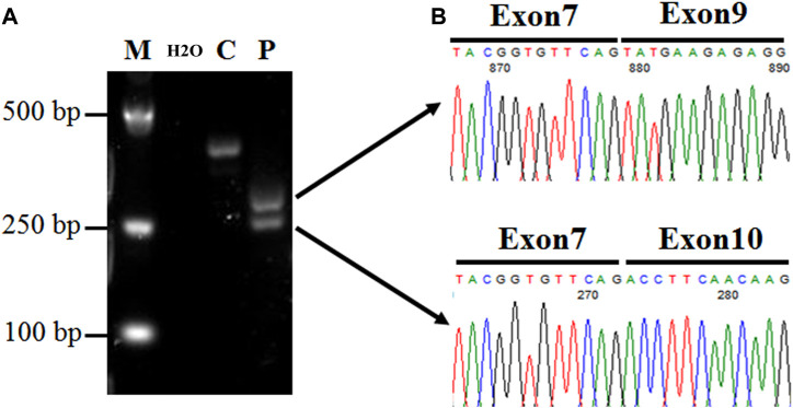 FIGURE 4