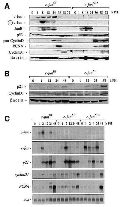 graphic file with name cdf159f6.jpg