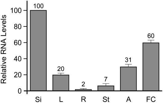 Figure 3.