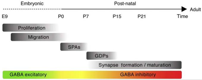 Figure 3.5