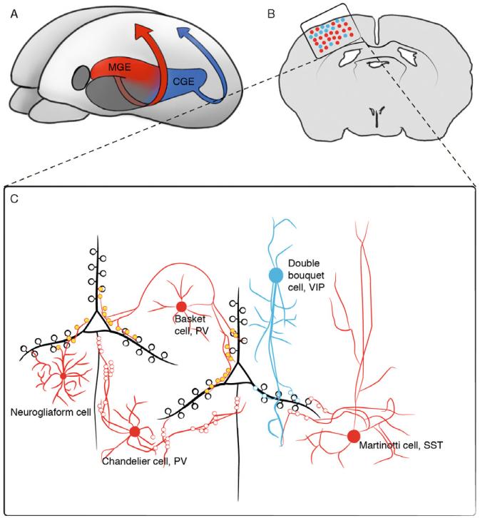 Figure 3.2