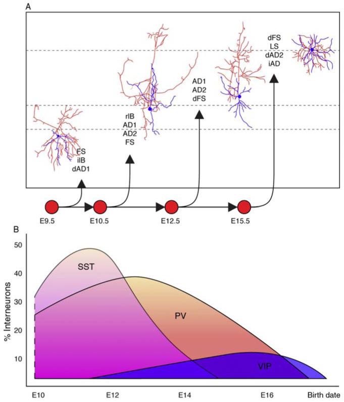 Figure 3.3