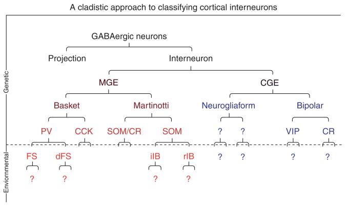 Figure 3.4