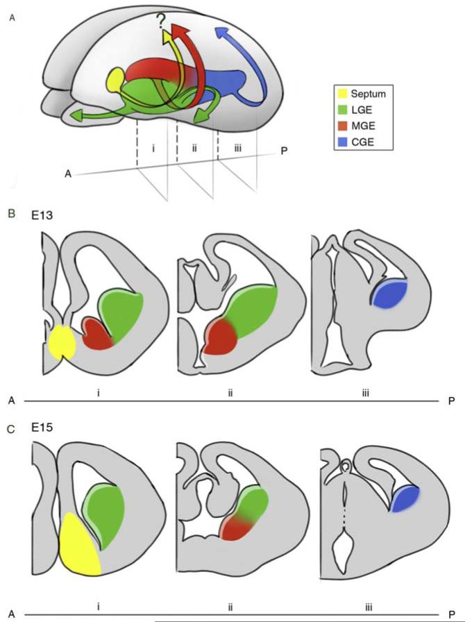 Figure 3.1