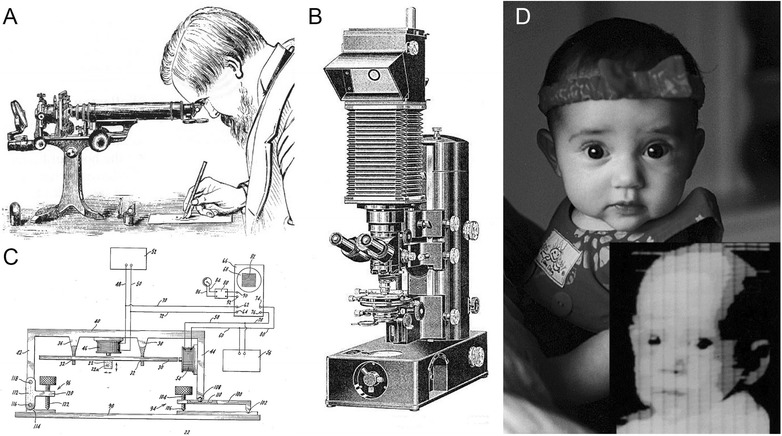 Fig. 1.