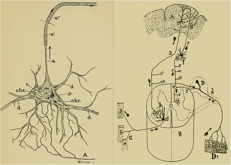 Fig. 2.