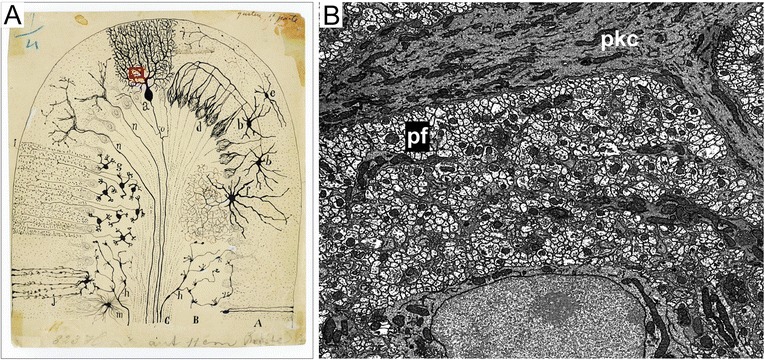 Fig. 4.