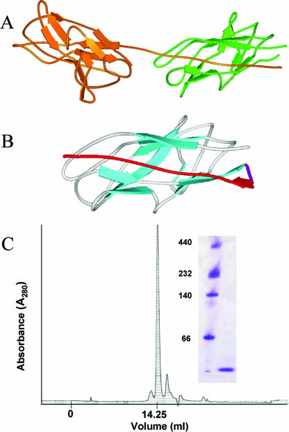 FIG. 1.