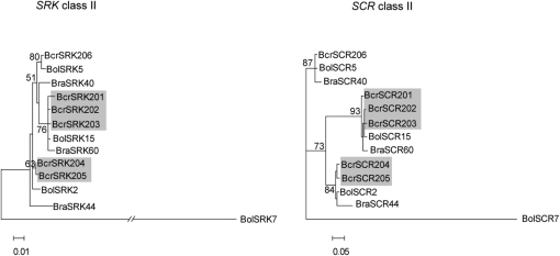 Figure 3.—