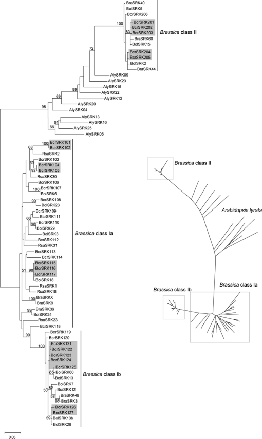 Figure 1.—