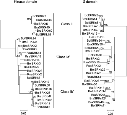 Figure 2.—