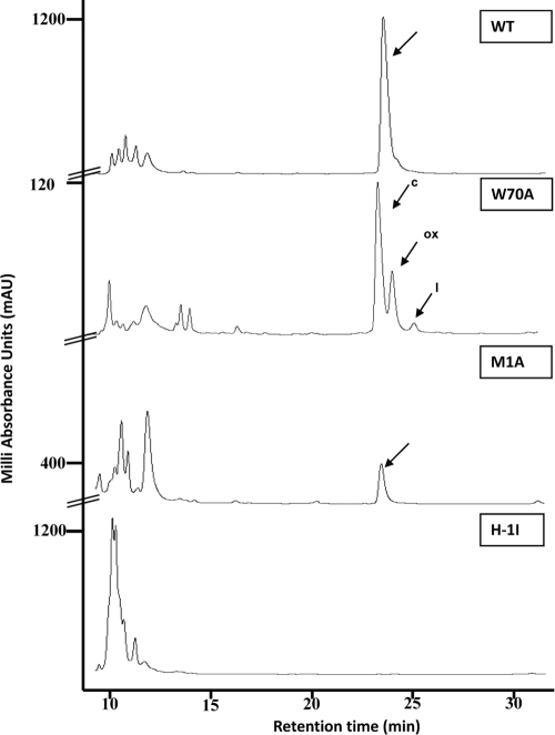 FIG. 1.