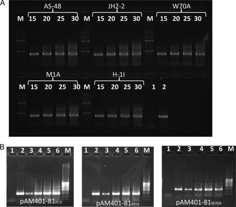 FIG. 3.